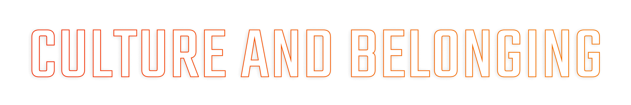 Culture and Belonging